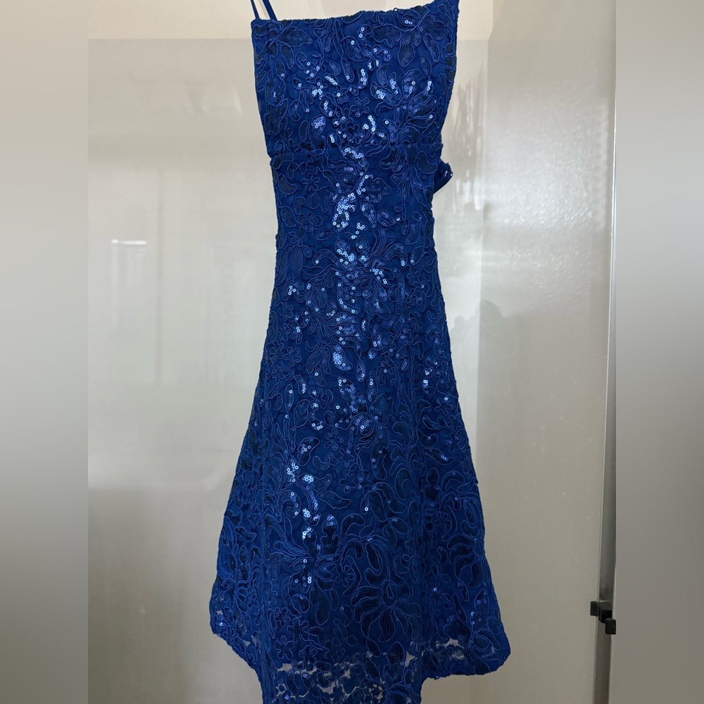 Emerald Sundae Navy Sequin Lace Dress